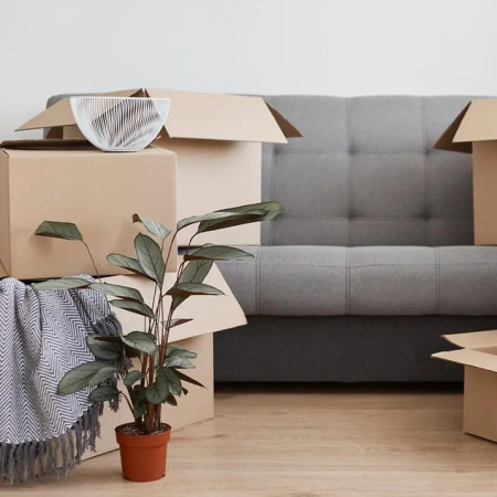 Move-Out Cleaning Service