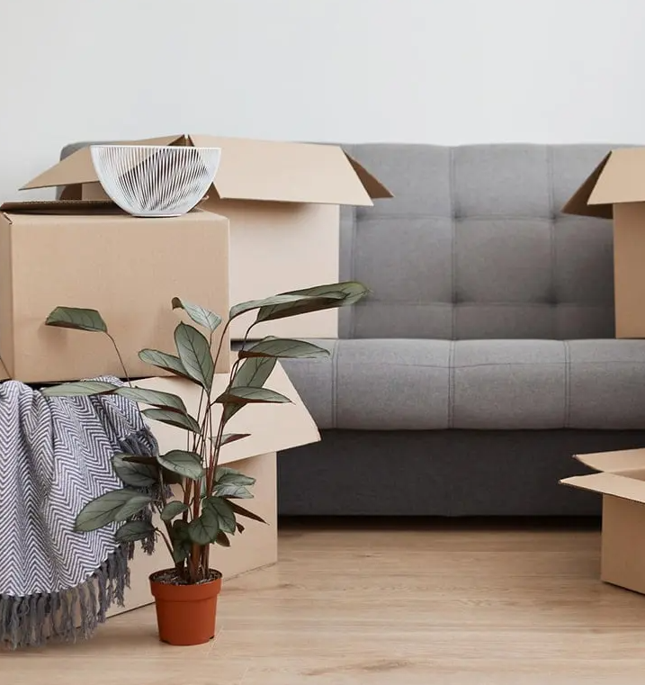 Move-Out Cleaning Service